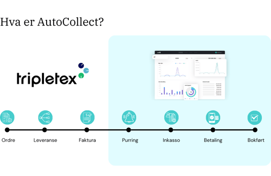 AutoCollect i Tripletex #3