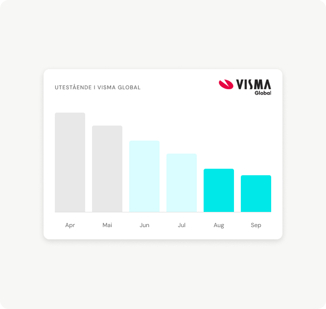 Visma Global