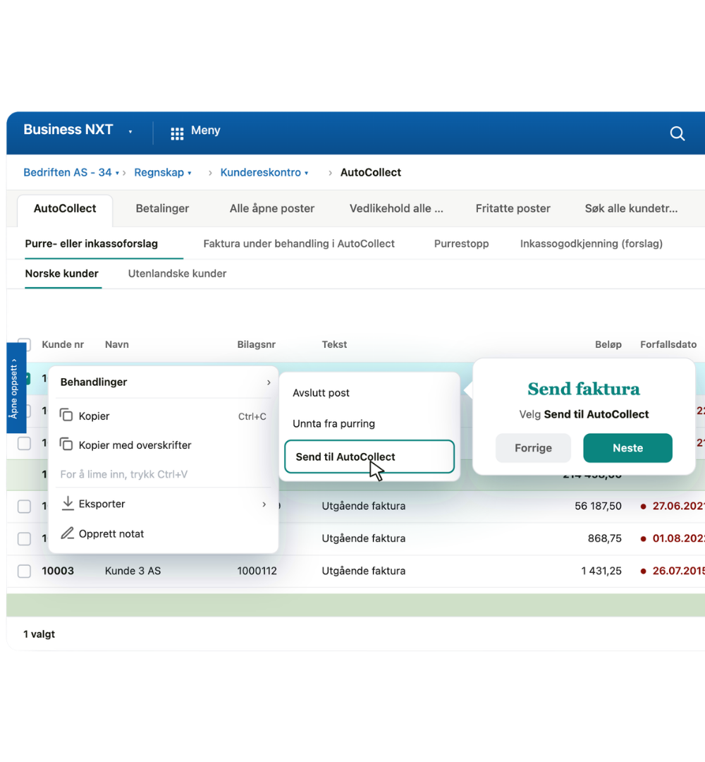 AutoCollect i Business NXT