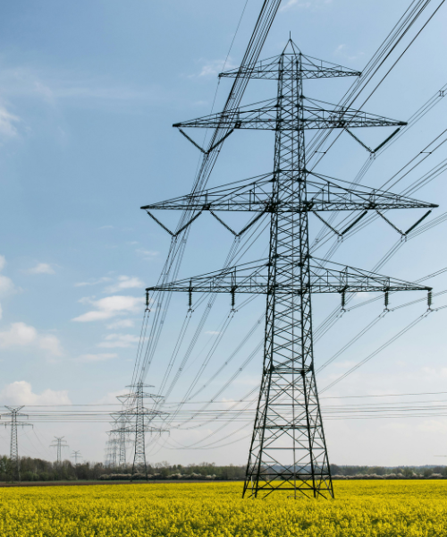 Lang erfaring med EDI til kraftbransjen